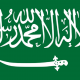 ضحى خضر سبيه